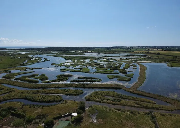 Luxueuse Rénovée à La Guittière Hébergement de vacances Saint-Hilaire-de-Talmont
